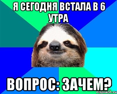 Я СЕГОДНЯ ВСТАЛА В 6 УТРА ВОПРОС: ЗАЧЕМ?, Мем Ленивец