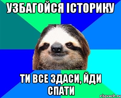 Узбагойся історику Ти все здаси, йди спати, Мем Ленивец