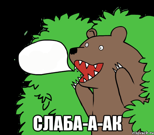  СЛАБА-А-АК, Комикс медведь из кустов