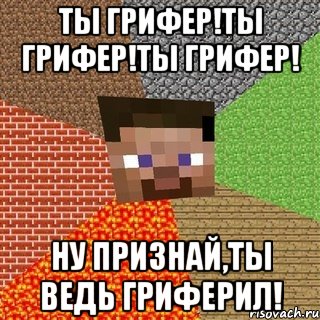 ты грифер!ты грифер!ты грифер! ну признай,ты ведь гриферил!, Мем Миникрафтер