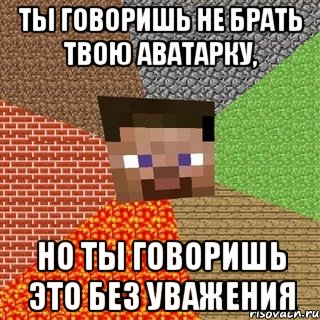 Ты говоришь не брать твою аватарку, Но ты говоришь это без уважения, Мем Миникрафтер