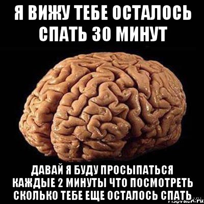 Осталось спать. Мозг ночью Мем. Мемы про мозг ночью. Мем с мозгом человека и сном. Мой мозг Мем.