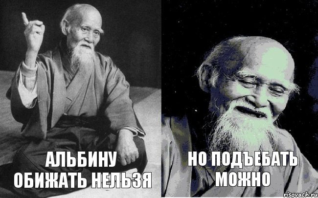 Альбину обижать нельзя но подъебать можно, Комикс Мудрец-монах (2 зоны)