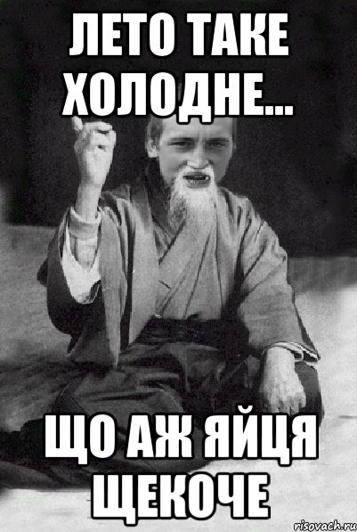 Лето таке холодне... Що аж яйця щекоче, Мем Мудрий паца