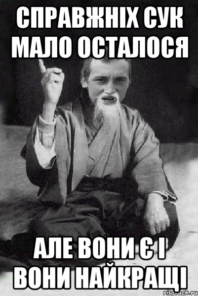 справжніх Сук мало осталося але вони є і вони найкращі, Мем Мудрий паца