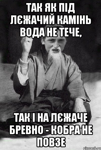 Так як під лєжачий камінь вода не тече, так і на лєжаче бревно - кобра не повзе, Мем Мудрий паца