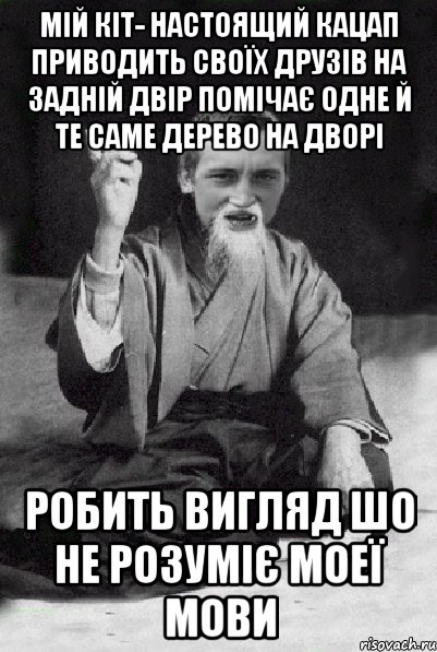 МІЙ КІТ- НАСТОЯЩИЙ КАЦАП ПРИВОДИТЬ СВОЇХ ДРУЗІВ НА ЗАДНІЙ ДВІР ПОМІЧАЄ ОДНЕ Й ТЕ САМЕ ДЕРЕВО НА ДВОРІ Робить вигляд шо не розуміє моеї мови, Мем Мудрий паца