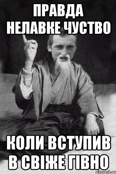 правда нелавке чуство коли вступив в свіже гівно, Мем Мудрий паца