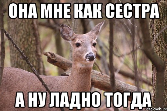 Ну ладно даю