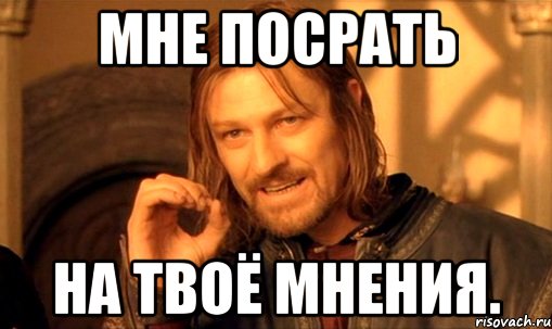 Никто не спрашивал. Твое мнение Мем. Мне посрать на твое мнение. Насрать на твое мнение. Мемы мне похуй на твое мнение.