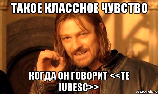 такое классное чувство когда он говорит <<te iubesc>>, Мем Нельзя просто так взять и (Боромир мем)