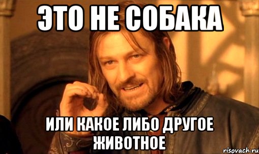 это не собака или какое либо другое животное, Мем Нельзя просто так взять и (Боромир мем)