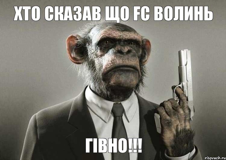 Хто сказав що Fc Волинь Гівно!!!, Комикс обезьяна с пистолетом