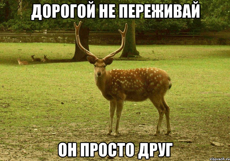 Все мемы олень - Рисовач .Ру