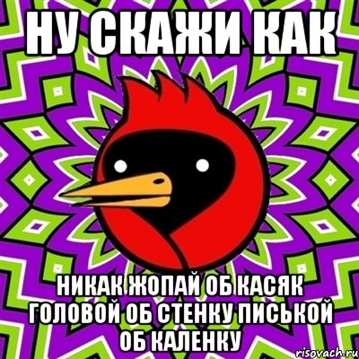 ну скажи как никак жопай об касяк головой об стенку писькой об каленку, Мем Омская птица