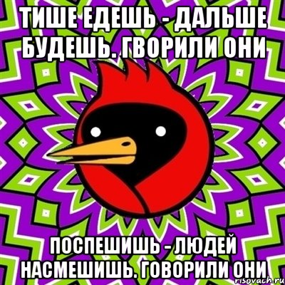 Тише едешь - дальше будешь. Гворили они Поспешишь - людей насмешишь. Говорили они, Мем Омская птица