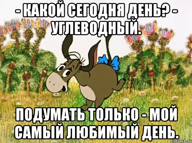 Сегодня день особенный с утра поет. Ослик ИА Мем. Ослик ИА день рождения. Ослик ИА доброе утро. Какой сегодня день.