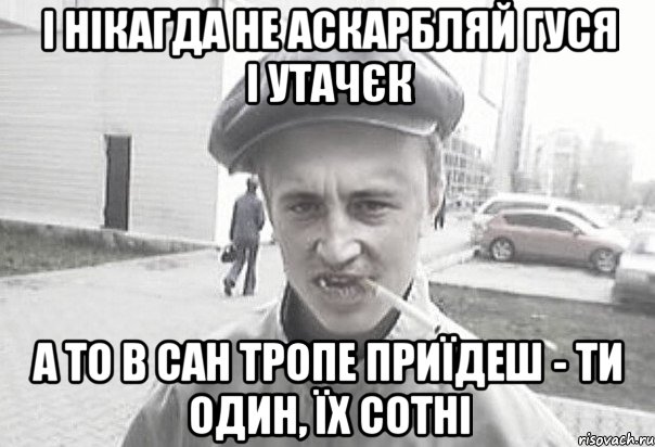 І нікагда не аскарбляй гуся і утачєк а то в сан тропе приїдеш - ти один, їх сотні, Мем Пацанська философия