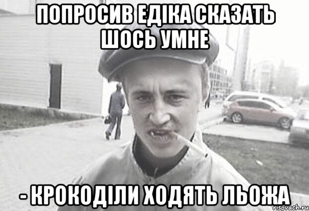 попросив едіка сказать шось умне - крокоділи ходять льожа, Мем Пацанська философия