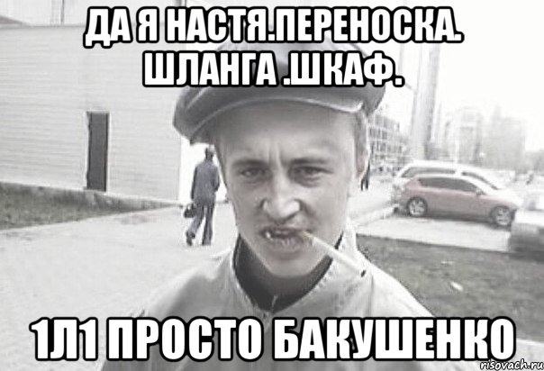 да я настя.переноска. шланга .шкаф. 1л1 просто бакушенко, Мем Пацанська философия