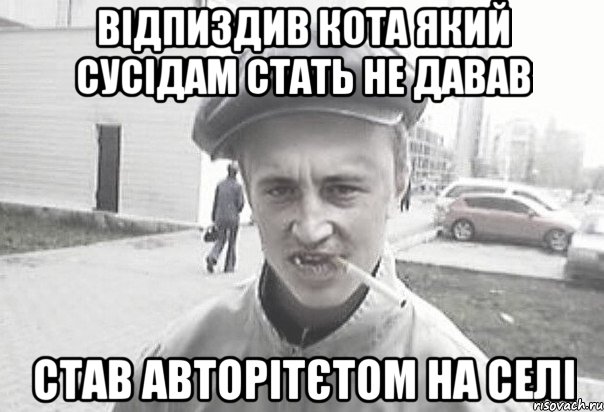 ВІДПИЗДИВ КОТА ЯКИЙ СУСІДАМ СТАТЬ НЕ ДАВАВ СТАВ АВТОРІТЄТОМ НА СЕЛІ, Мем Пацанська философия