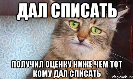 дал списать получил оценку ниже чем тот кому дал списать, Мем  кот печаль