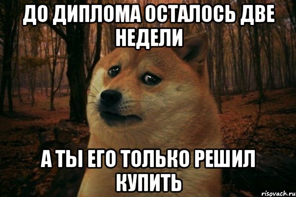 ДО ДИПЛОМА ОСТАЛОСЬ ДВЕ НЕДЕЛИ А ТЫ ЕГО ТОЛЬКО РЕШИЛ КУПИТЬ, Мем SAD DOGE