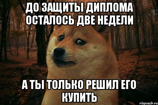 ДО ЗАЩИТЫ ДИПЛОМА ОСТАЛОСЬ ДВЕ НЕДЕЛИ А ТЫ ТОЛЬКО РЕШИЛ ЕГО КУПИТЬ, Мем SAD DOGE