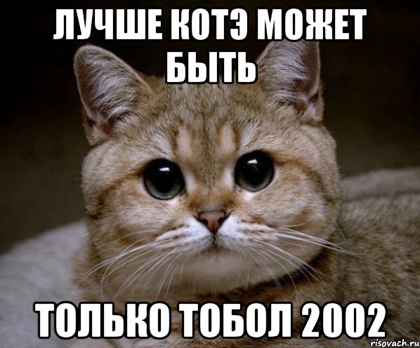 Лучше котэ может быть Только тобол 2002, Мем Пидрила Ебаная