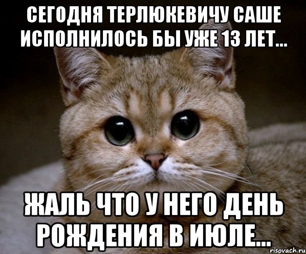 Сегодня Терлюкевичу Саше исполнилось бы уже 13 лет... Жаль что у него День Рождения в Июле..., Мем Пидрила Ебаная