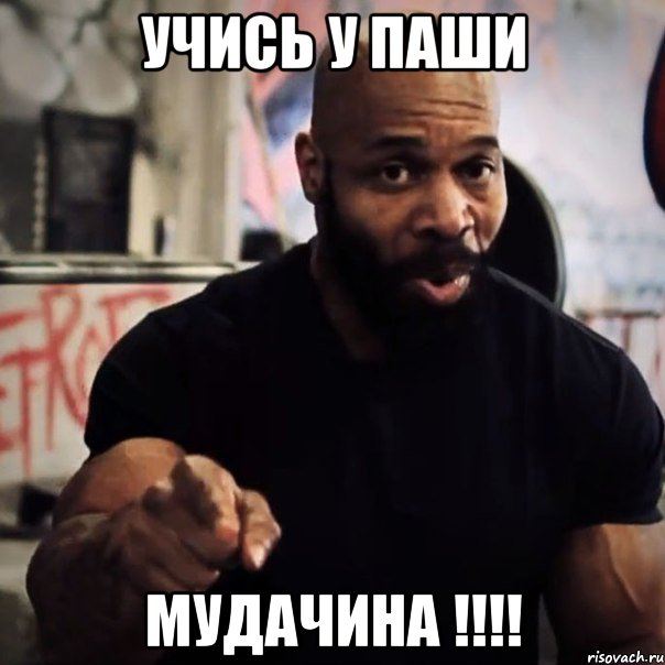 Учись у Паши Мудачина !!!!, Мем Плюшевая борода