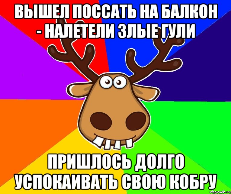 Вышел поссать на балкон - налетели злые гули пришлось долго успокаивать свою кобру, Мем Подслушано Красноград