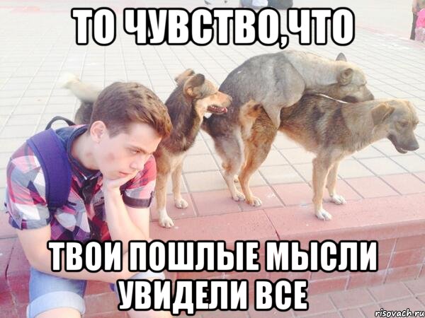 Что то пошло не так картинки