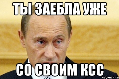 ты заебла уже со своим ксс, Мем путин