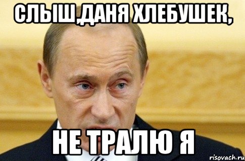 Слыш,даня хлебушек, не тралю я, Мем путин