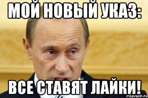 Мой новый указ: все ставят ЛАЙКИ!, Мем путин