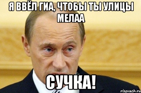 я ввёл ГИА, чтобы ты улицы мелаа Сучка!, Мем путин