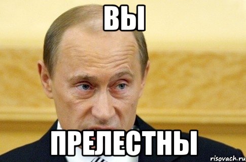 Вы прелестны, Мем путин