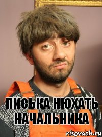 писька нюхать начальника