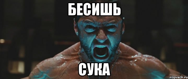 бесишь сука