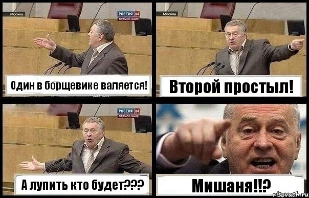 Один в борщевике валяется! Второй простыл! А лупить кто будет??? Мишаня!!?, Комикс с Жириновским