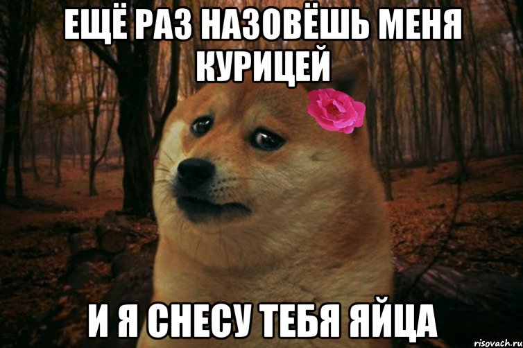 ещё раз назовёшь меня курицей и я снесу тебя яйца, Мем  SAD DOGE GIRL