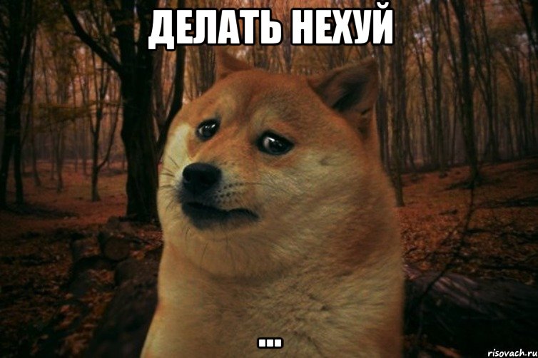 делать нехуй ..., Мем SAD DOGE