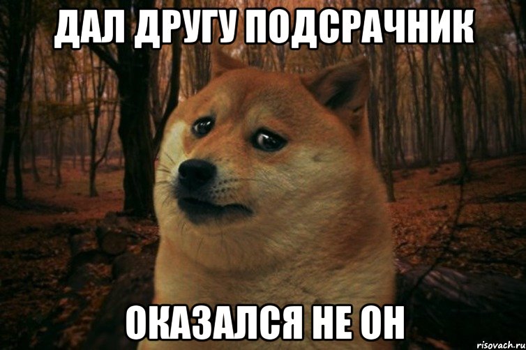 дал другу подсрачник оказался не он, Мем SAD DOGE