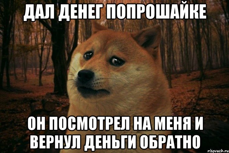 Дал денег попрошайке Он посмотрел на меня и вернул деньги обратно, Мем SAD DOGE