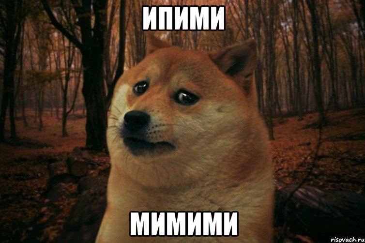 ипими мимими, Мем SAD DOGE