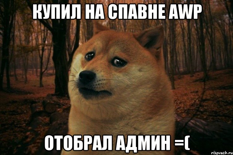 Купил на спавне AWP Отобрал Админ =(, Мем SAD DOGE