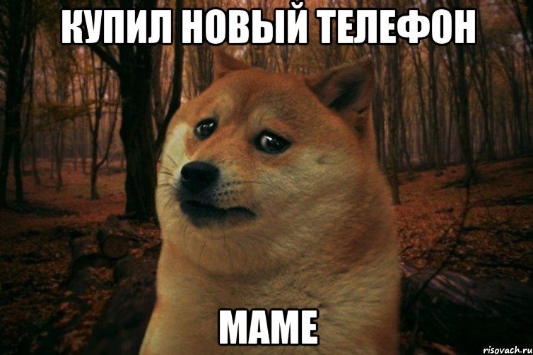 купил новый телефон маме, Мем SAD DOGE