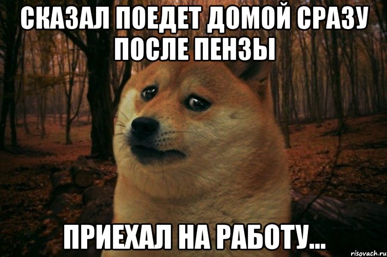 Сказал поедет домой сразу после Пензы Приехал на работу..., Мем SAD DOGE