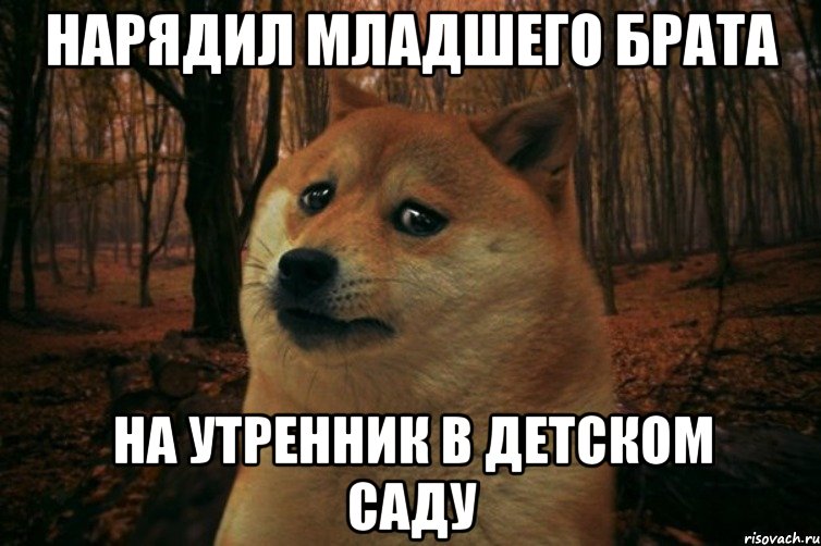 нарядил младшего брата на утренник в детском саду, Мем SAD DOGE